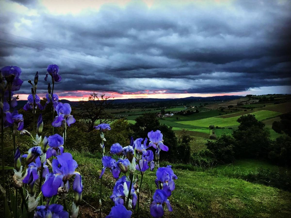 Valiano R Montepulciano Daire Dış mekan fotoğraf